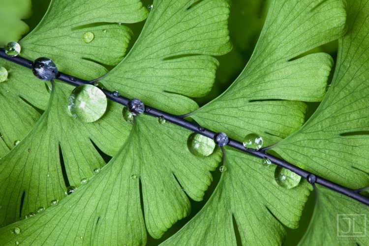Drops holding tight