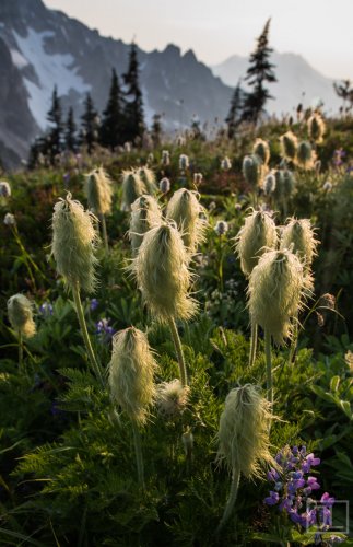 Whoville in the Alpine